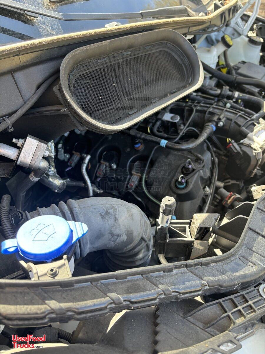 - 81